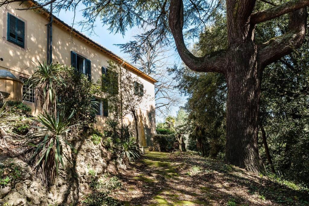 Villa Ott Crespina ภายนอก รูปภาพ